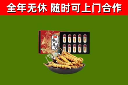策勒县回收冬虫夏草价格